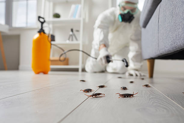 Commercial Kitchen Cockroach Control in Mannington